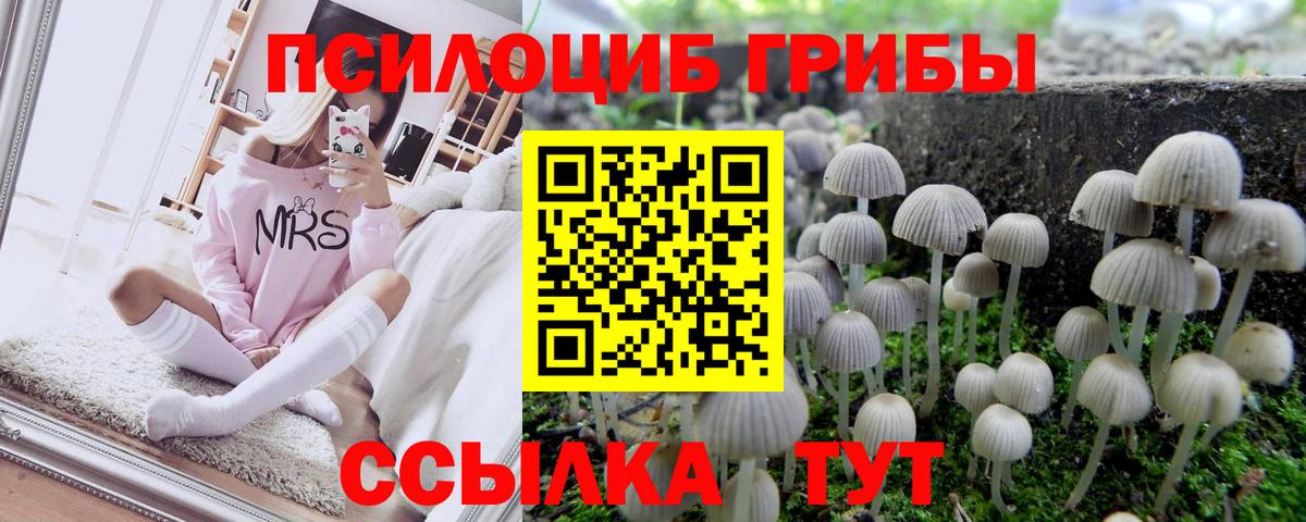 Галлюциногенные грибы Psilocybe  Вход с VPN  Псилоцибиновые грибы Psilocybine cubensis  Краснознаменск 